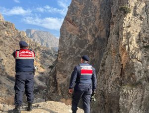 Jandarma, Aydıncık’ta Yaban Hayatını Koruma Faaliyeti Gerçekleştirdi