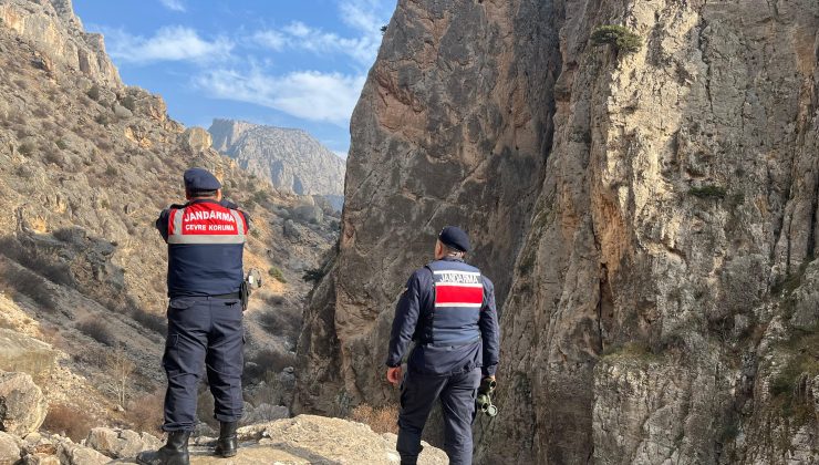 Jandarma, Aydıncık’ta Yaban Hayatını Koruma Faaliyeti Gerçekleştirdi