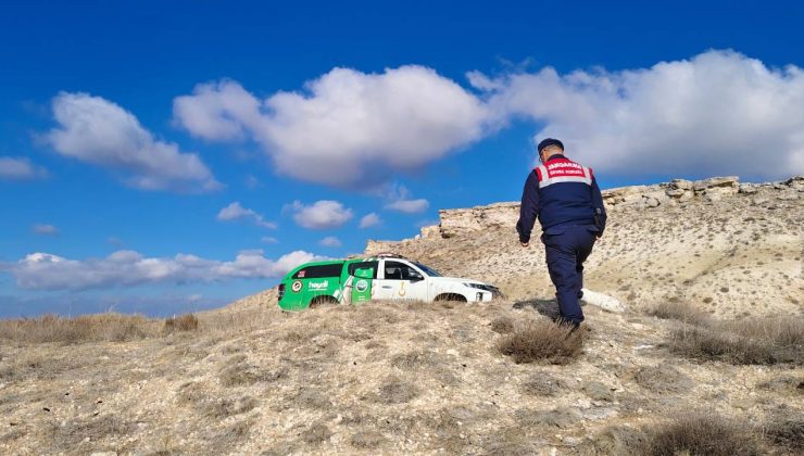 Yozgat İl Jandarma Komutanlığı’ndan Doğaya Destek