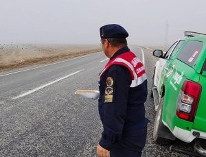 Yozgat İl Jandarma Komutanlığı’ndan Doğaya Destek