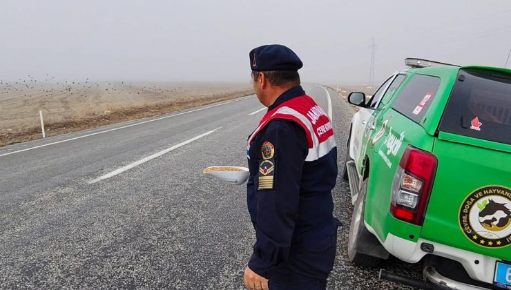 Yozgat İl Jandarma Komutanlığı’ndan Doğaya Destek