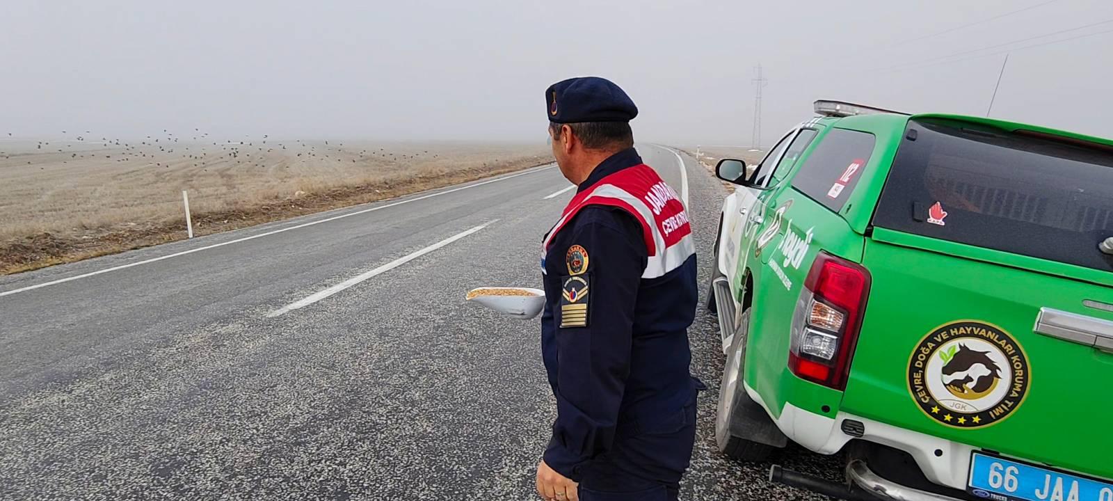 Yozgat İl Jandarma Komutanlığı’ndan Doğaya Destek