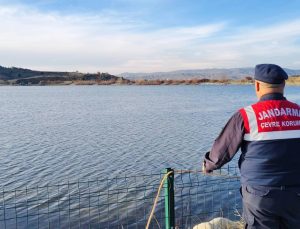 Yozgat’ta Doğayı ve Hayvanları Koruma Çalışmaları Sürüyor