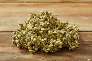 Yozgat’ta, kış aylarında da tüketilebilmesi amacıyla kurutulup iplere dizilerek satışa