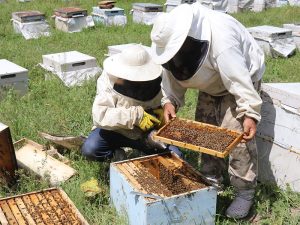 Türkiye’nin önemli tarım ve hayvancılık bölgelerinden biri olan Yozgat’ta, arıcılık