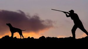 Tarım ve Orman Bakanlığı Doğa Koruma ve Milli Parklar Genel