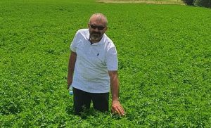 Türkiye’deki en yüksek fosfor oranına sahip ve mikro tane yapısıyla