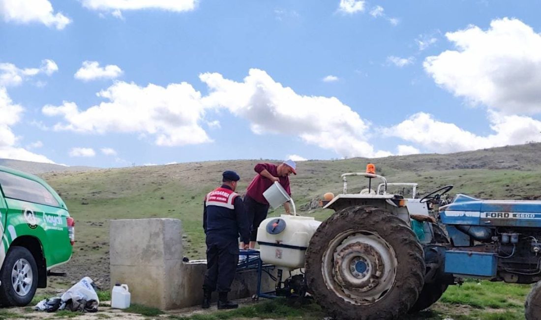 Yozgat İl Jandarma Komutanlığı ekipleri, Evci Köyü ve Evci Şelalesi