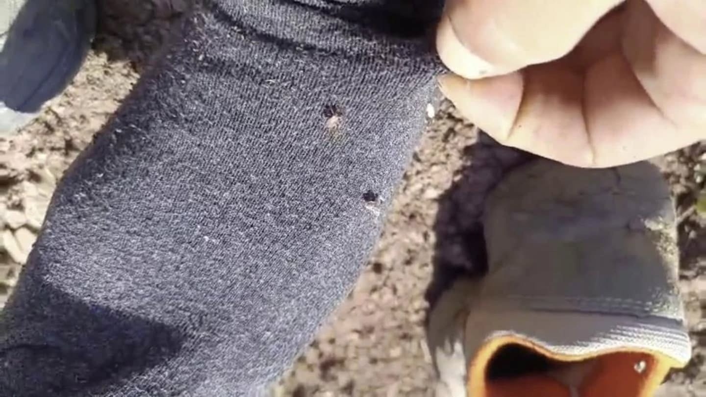 Yozgat’ın kırsal bölgelerinde artan kene popülasyonu, vatandaşları endişelendiriyor. Uzmanlar, Kırım