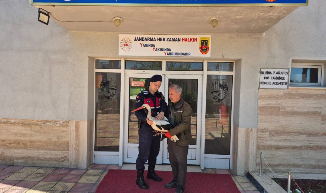 Yozgat İl Jandarma Komutanlığı HAYDİ Timi ve Sarıkaya İlçe Jandarma