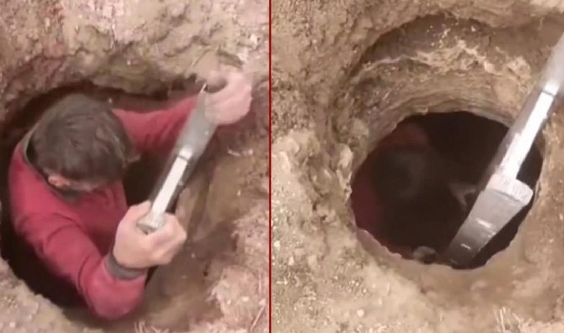 Yozgat’ın Sarıkaya ilçesinde, çiftçi Kamil Bayar’ın traktörünün bıçağına takılan büyük