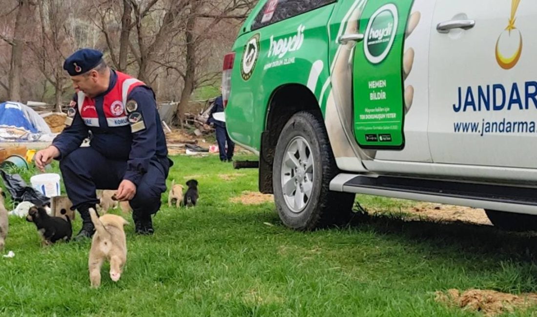 Yozgat İl Jandarma Komutanlığı, Çayıralan'da hayvancılıkla uğraşan sürü sahiplerine yönelik