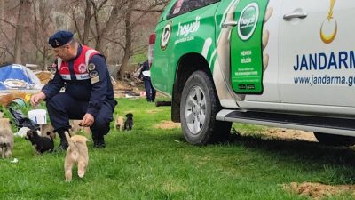 Yozgat İl Jandarma Komutanlığı, Çayıralan'da hayvancılıkla uğraşan sürü sahiplerine yönelik