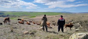 Yozgat İl Jandarma Komutanlığı Çevre, Doğa ve Hayvanları Koruma Timi