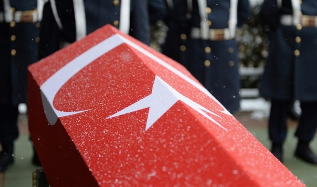 Gürcistan’da düşen Türk Hava Kuvvetleri’ne ait askeri kargo uçağında şehit