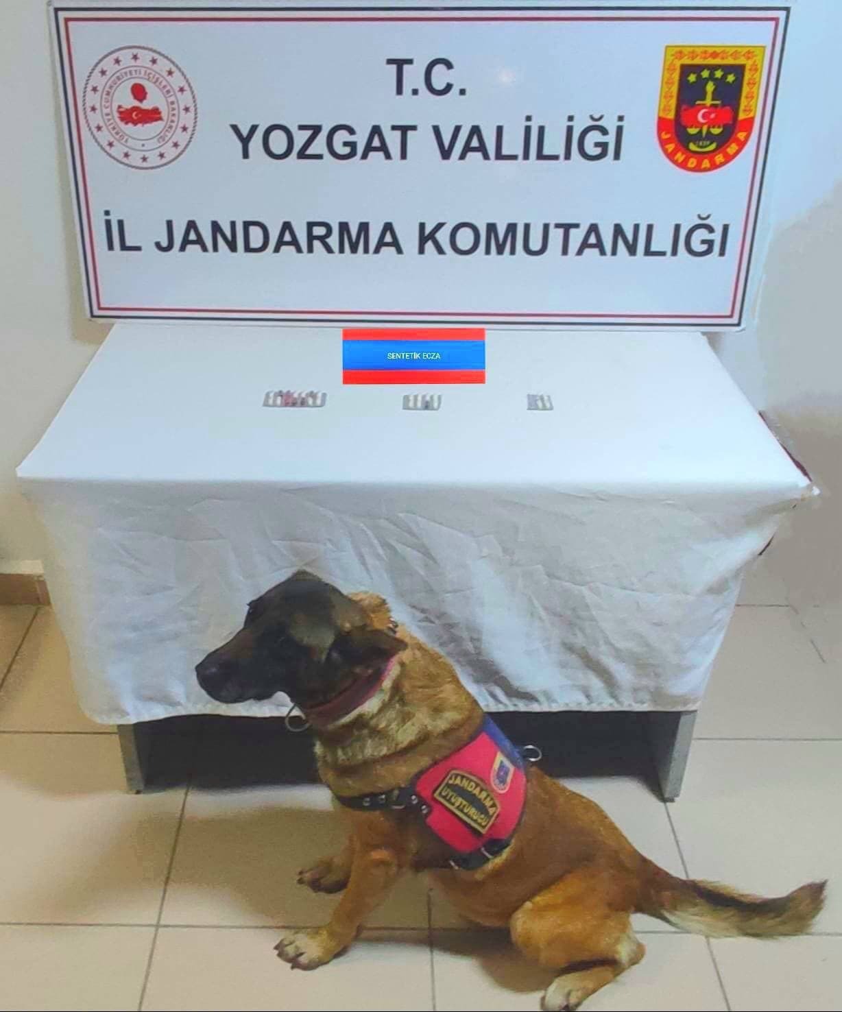 Yozgat İl Jandarma Komutanlığı, yapılan istihbari çalışma sonucu (E.F.) isimli