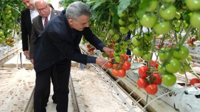Yozgat’ın Sorgun ilçesinde jeotermal enerjiyle ısıtılan seralarda yılda 9 ay