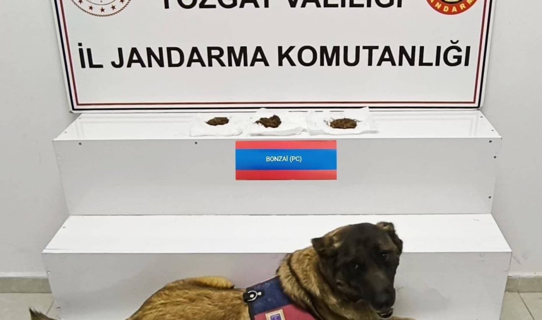 Yozgat İl Jandarma Komutanlığı ekipleri, Boğazlıyan’da gerçekleştirdiği yol kontrolünde, il