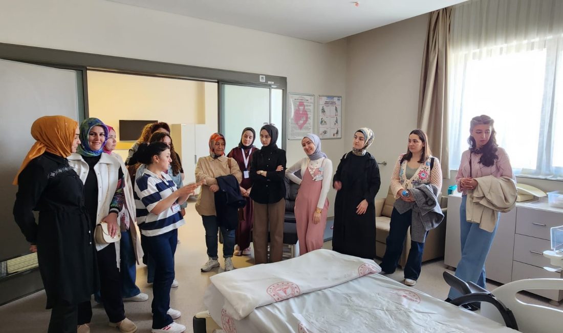 Normal doğumun teşviki ve ebelerin mesleki gelişimini desteklemek amacıyla başlatılan