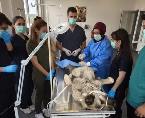Yozgat Bozok Üniversitesi ile Yozgat Valiliği İl Özel İdaresi arasında