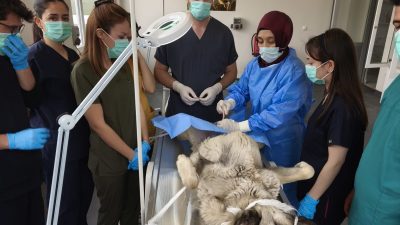 Yozgat Bozok Üniversitesi ile Yozgat Valiliği İl Özel İdaresi arasında