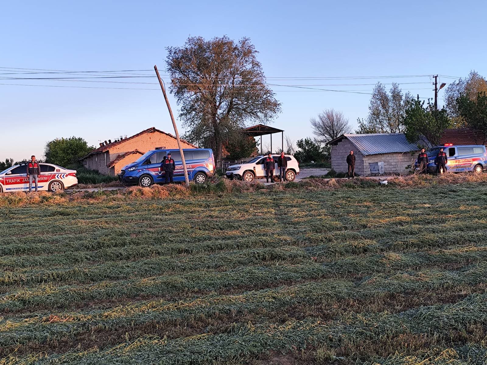 Sarıkaya İlçesi Karayakup Mahallesi'nde kaybolan 6 büyükbaş hayvan, Yozgat İl
