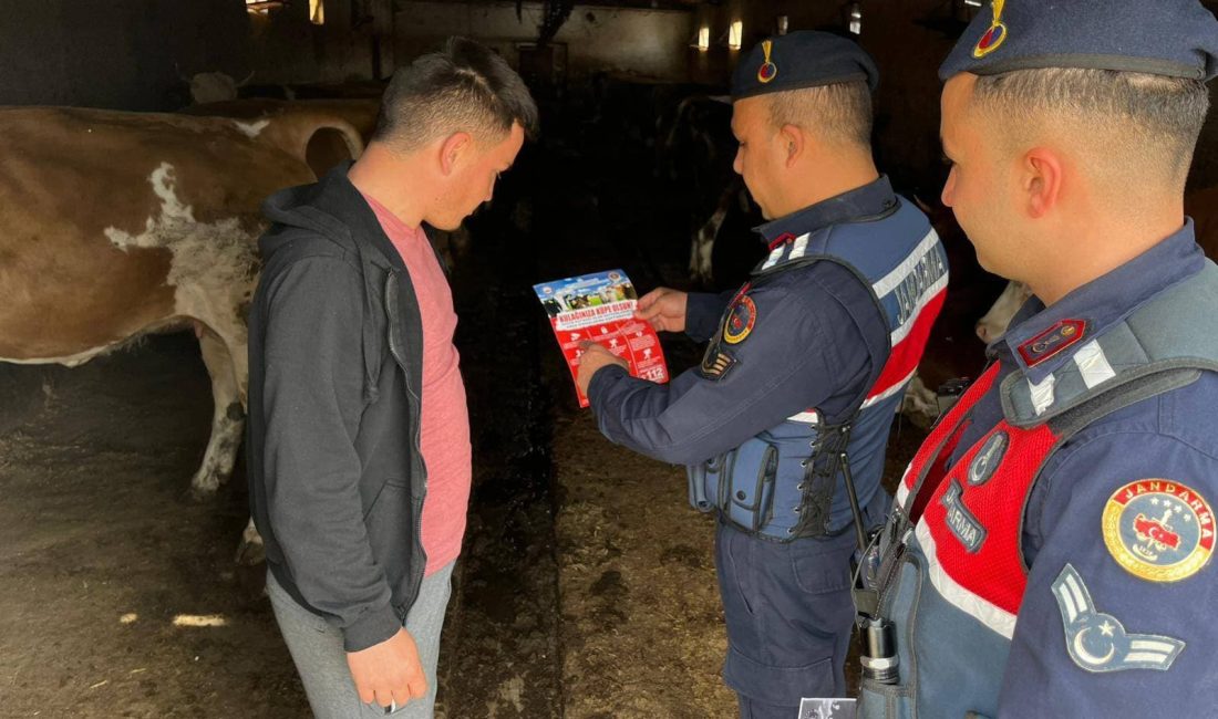 Yozgat İl Jandarma Komutanlığı, Kurban Bayramı öncesinde hayvan hırsızlığı, dolandırıcılık