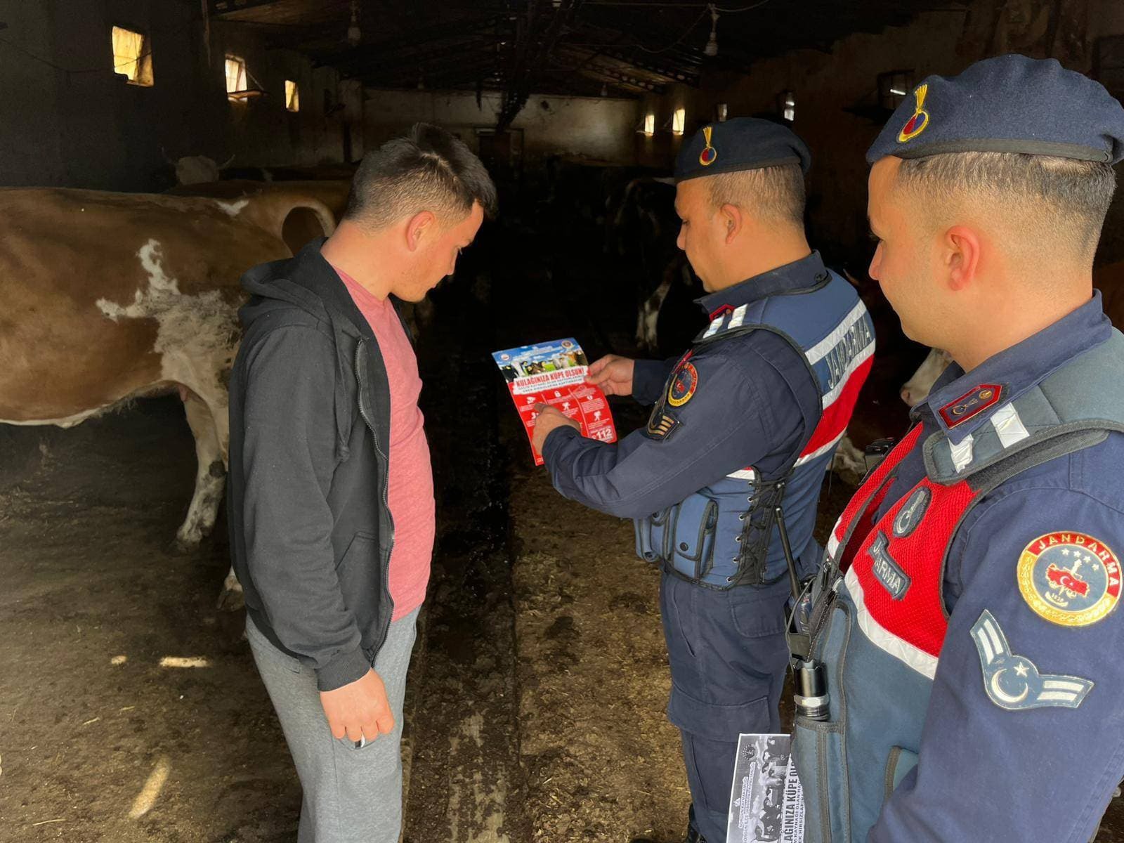 Yozgat İl Jandarma Komutanlığı, Kurban Bayramı öncesinde hayvan hırsızlığı, dolandırıcılık