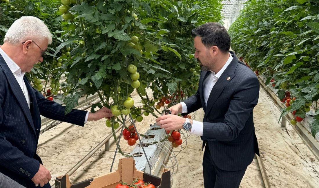 AK Parti Yozgat Milletvekili Süleyman Şahan, Sorgun’da jeotermal enerjiyle ısıtılan