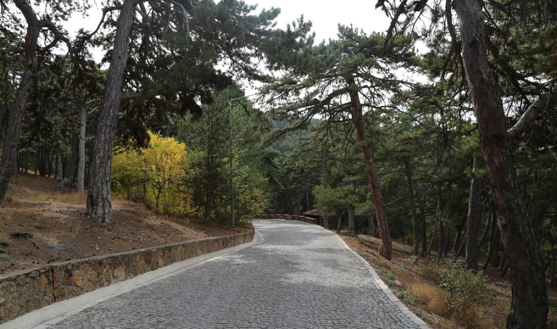 Yozgat İl Tarım ve Orman Müdürlüğü, 5 Haziran Dünya Çevre