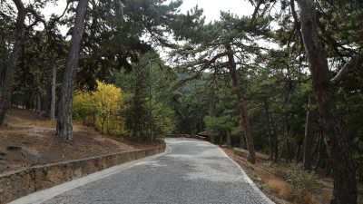 Yozgat İl Tarım ve Orman Müdürlüğü, 5 Haziran Dünya Çevre