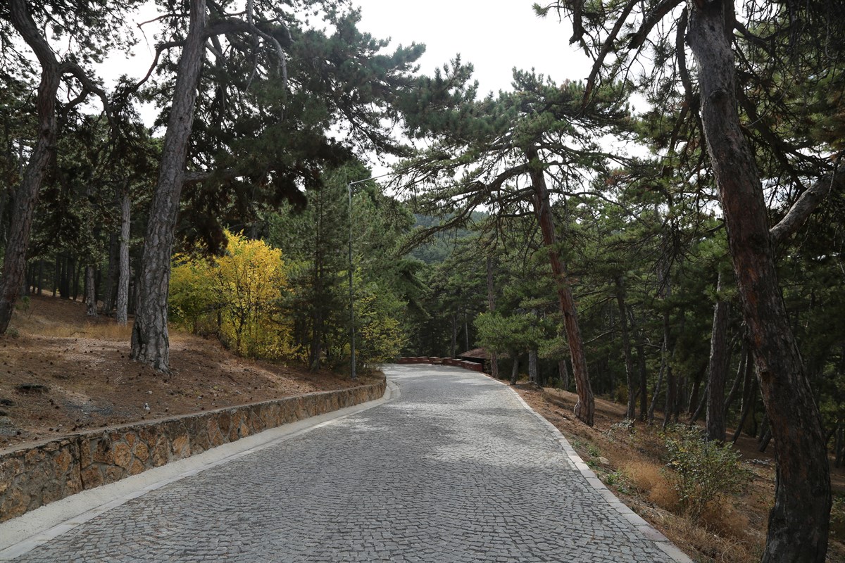 Yozgat İl Tarım ve Orman Müdürlüğü, 5 Haziran Dünya Çevre