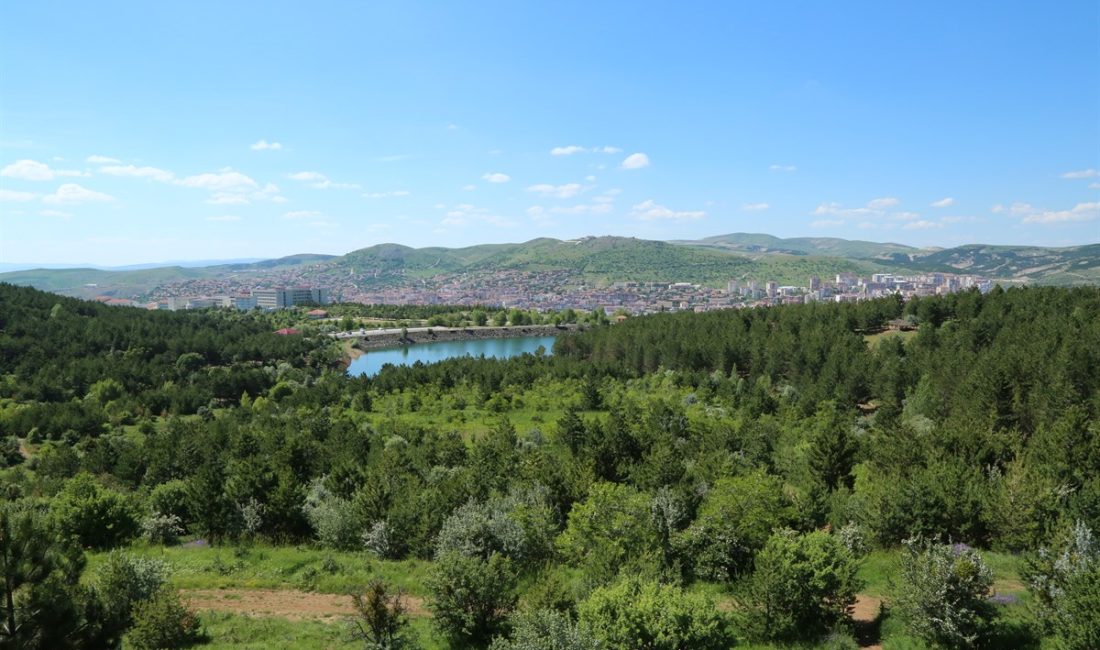 Yozgat genelinde orman yangınlarını önlemek amacıyla anız ve bitki örtüsü