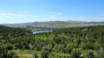 Yozgat genelinde orman yangınlarını önlemek amacıyla anız ve bitki örtüsü