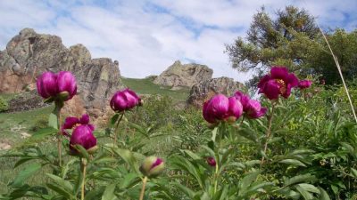 Yozgat’ın eşsiz doğa harikalarından biri olan Gelin Kayası Bölgesi’nde Cehrilik