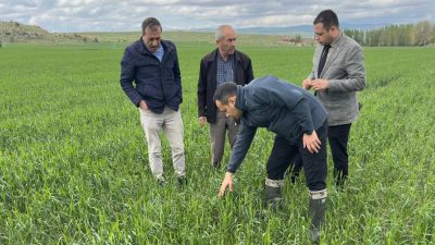 Yozgat’ta etkili olan dolu yağışı tarım arazilerine zarar verdi. Arpa