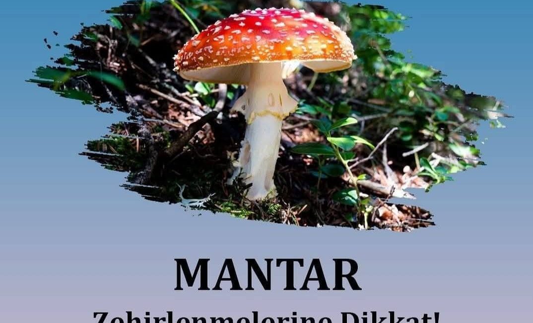 Yozgat Valiliği, doğada bulunan mantarların zehirli olabileceği uyarısında bulunarak, zehirlenme