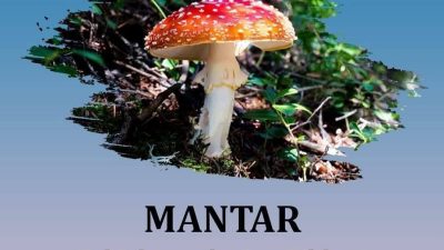 Yozgat Valiliği, doğada bulunan mantarların zehirli olabileceği uyarısında bulunarak, zehirlenme