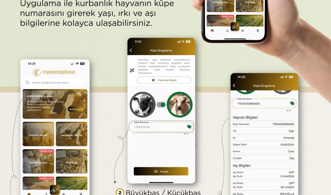 Boğazlıyan İlçe Tarım Müdürlüğü, “TarımCebimde” uygulamasıyla kurbanlık hayvanların yaş, ırk