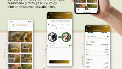 Boğazlıyan İlçe Tarım Müdürlüğü, “TarımCebimde” uygulamasıyla kurbanlık hayvanların yaş, ırk