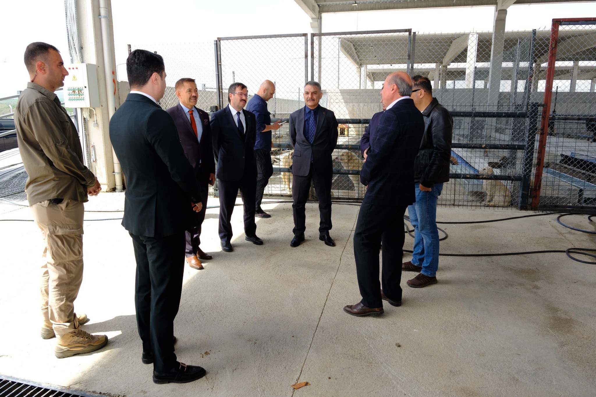 Yozgat’ta sahipsiz sokak hayvanları için modern bir bakım ve rehabilitasyon