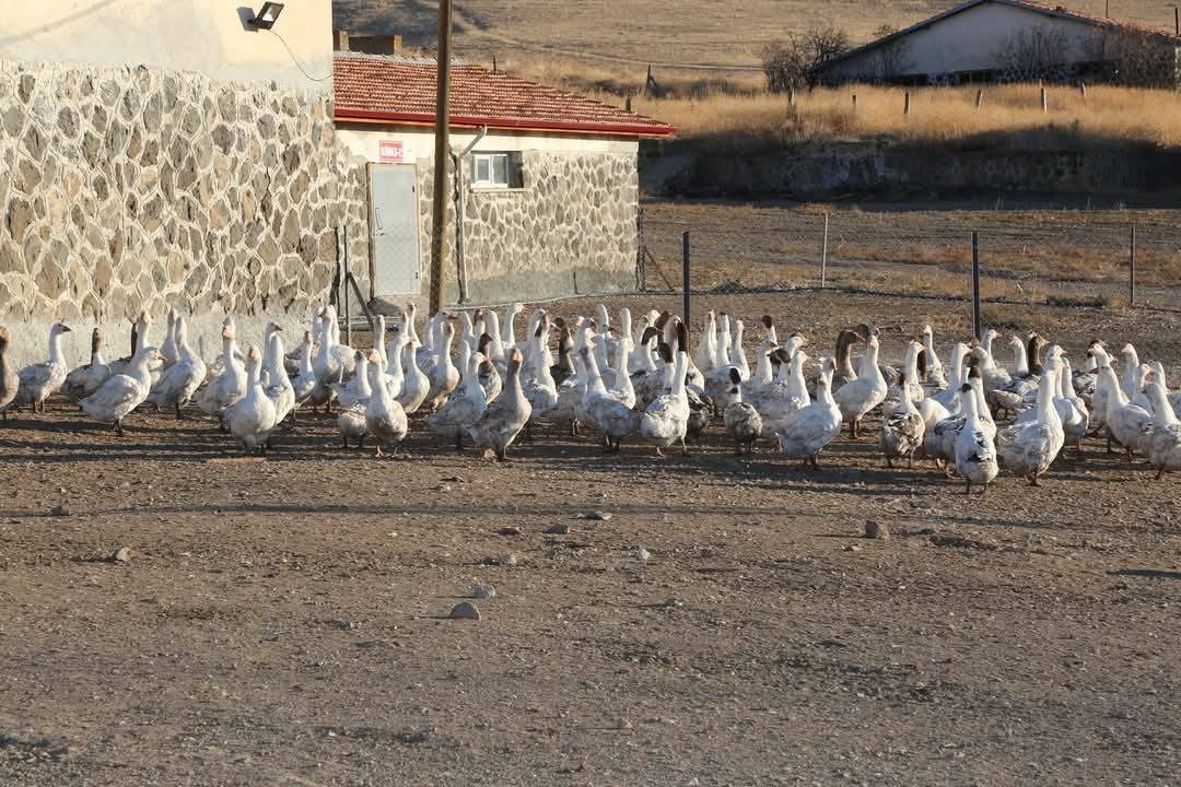 Yozgat Valisi Mehmet Ali Özkan, Yerköy'de bulunan Türkiye'nin ilk Kesimhaneli