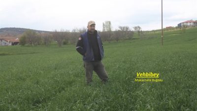 Sorgun'un Kayakışla Köyü'nde, önder çiftçi Yusuf Şahin’in öncülüğünde, Ankara Tarla