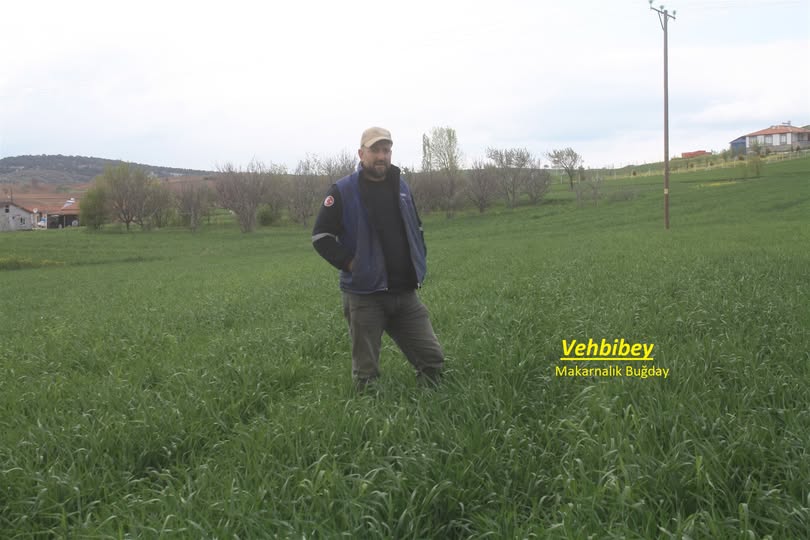 Sorgun'un Kayakışla Köyü'nde, önder çiftçi Yusuf Şahin’in öncülüğünde, Ankara Tarla