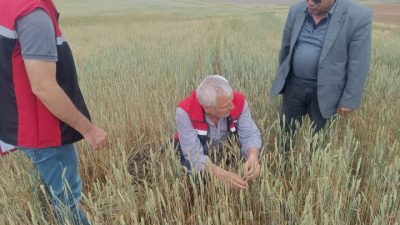 1 Haziran Pazar günü etkili olan sağanak yağış ve dolu,