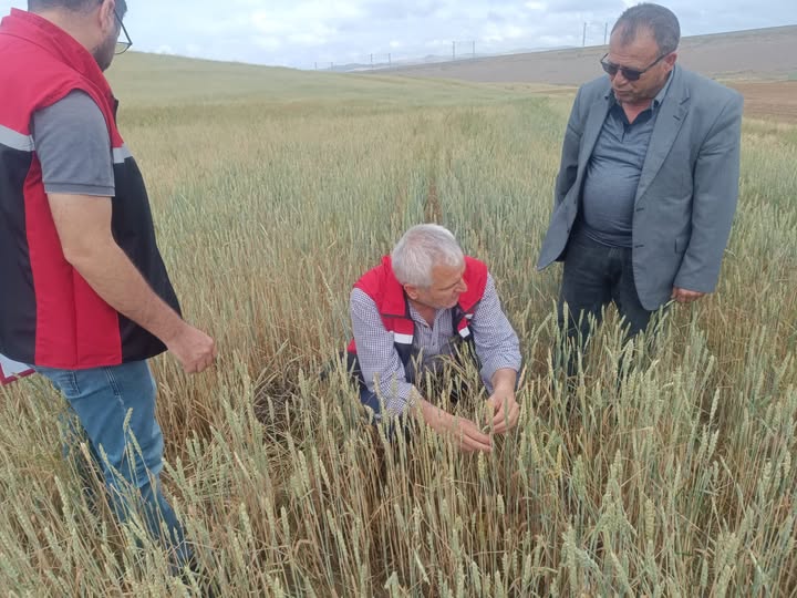 1 Haziran Pazar günü etkili olan sağanak yağış ve dolu,