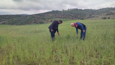 Yozgat genelinde etkili olan sağanak ve dolu yağışı birçok ilçede