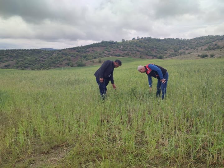 Yozgat genelinde etkili olan sağanak ve dolu yağışı birçok ilçede