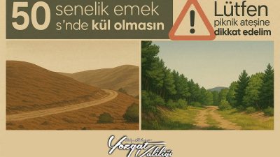 Yaz aylarında artan sıcaklıklarla birlikte orman yangını riski yükseliyor. Yetkililer,