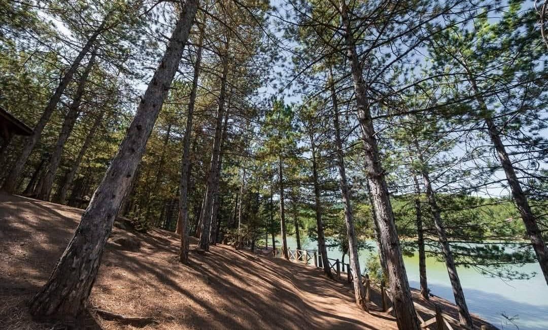 Çamlık Milli Parkı’nda piknik yapan vatandaşlara çağrı: Doğayı koruyalım, çöplerimizi